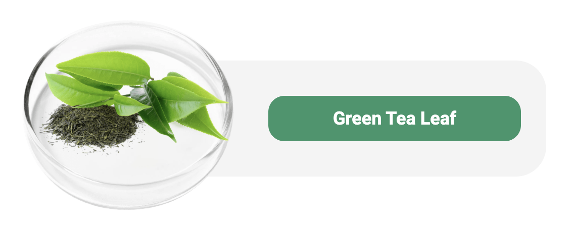 Captura de Tela 2025-04-26 às 23.56.27