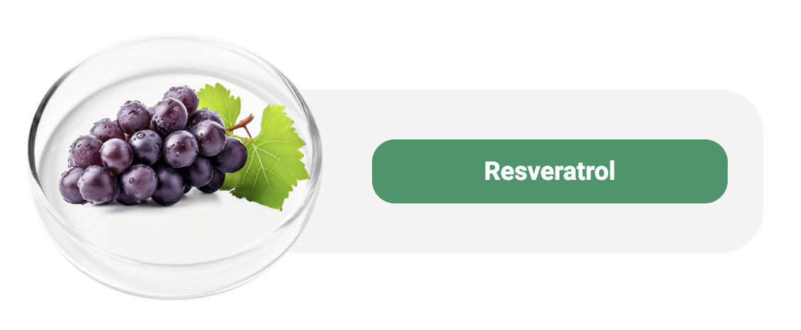 Captura de Tela 2025-04-26 às 23.56.32