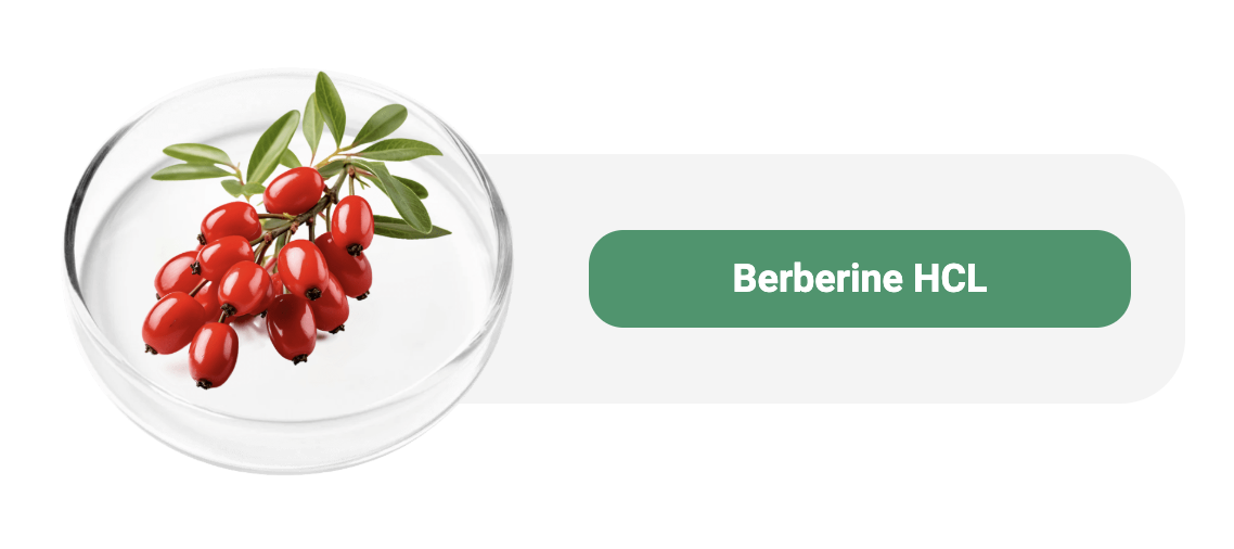 Captura de Tela 2025-04-26 às 23.56.36