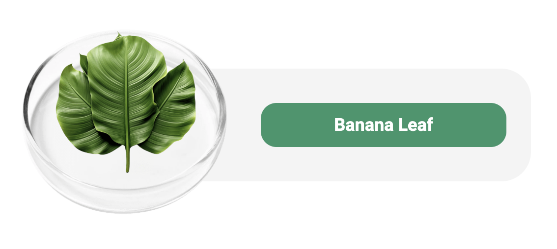 Captura de Tela 2025-04-26 às 23.56.51